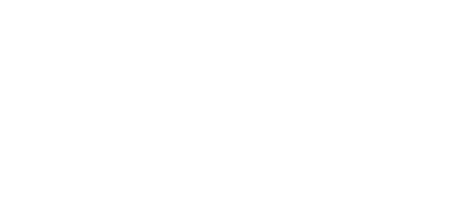 N-Create-Consultancy-_mono-white